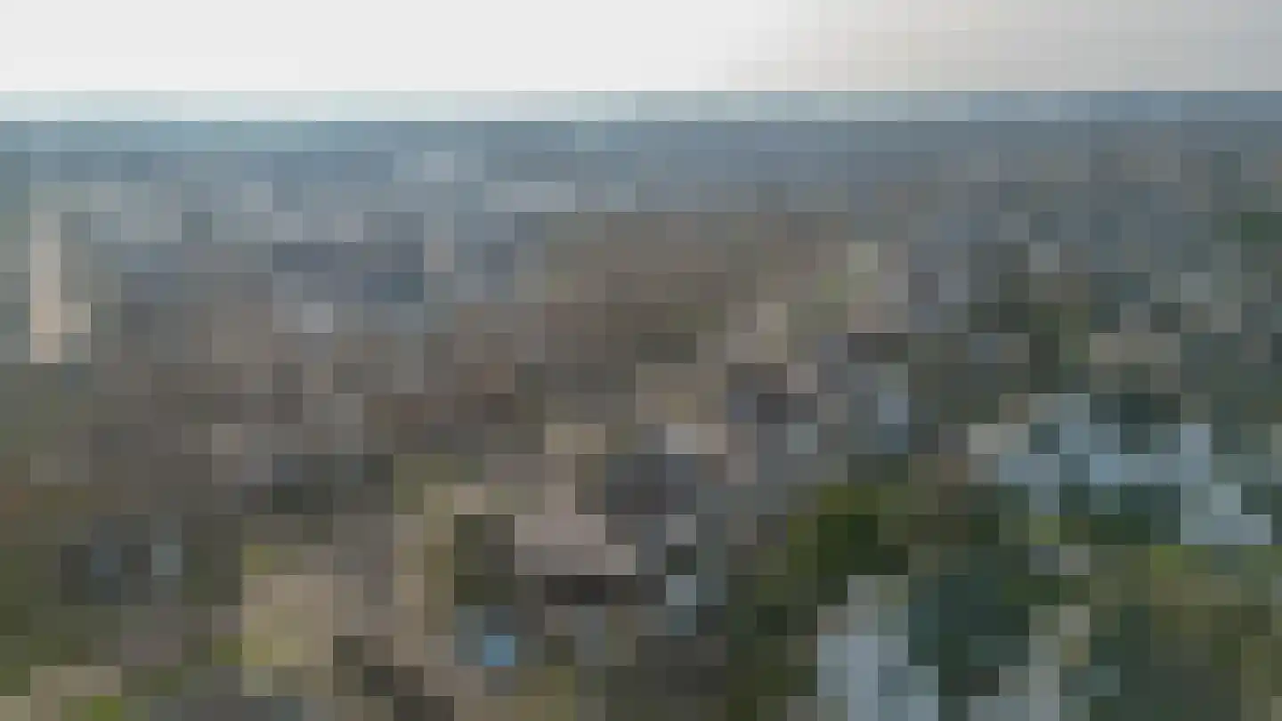 Tijmveld 66 Veghel thumbnail 45