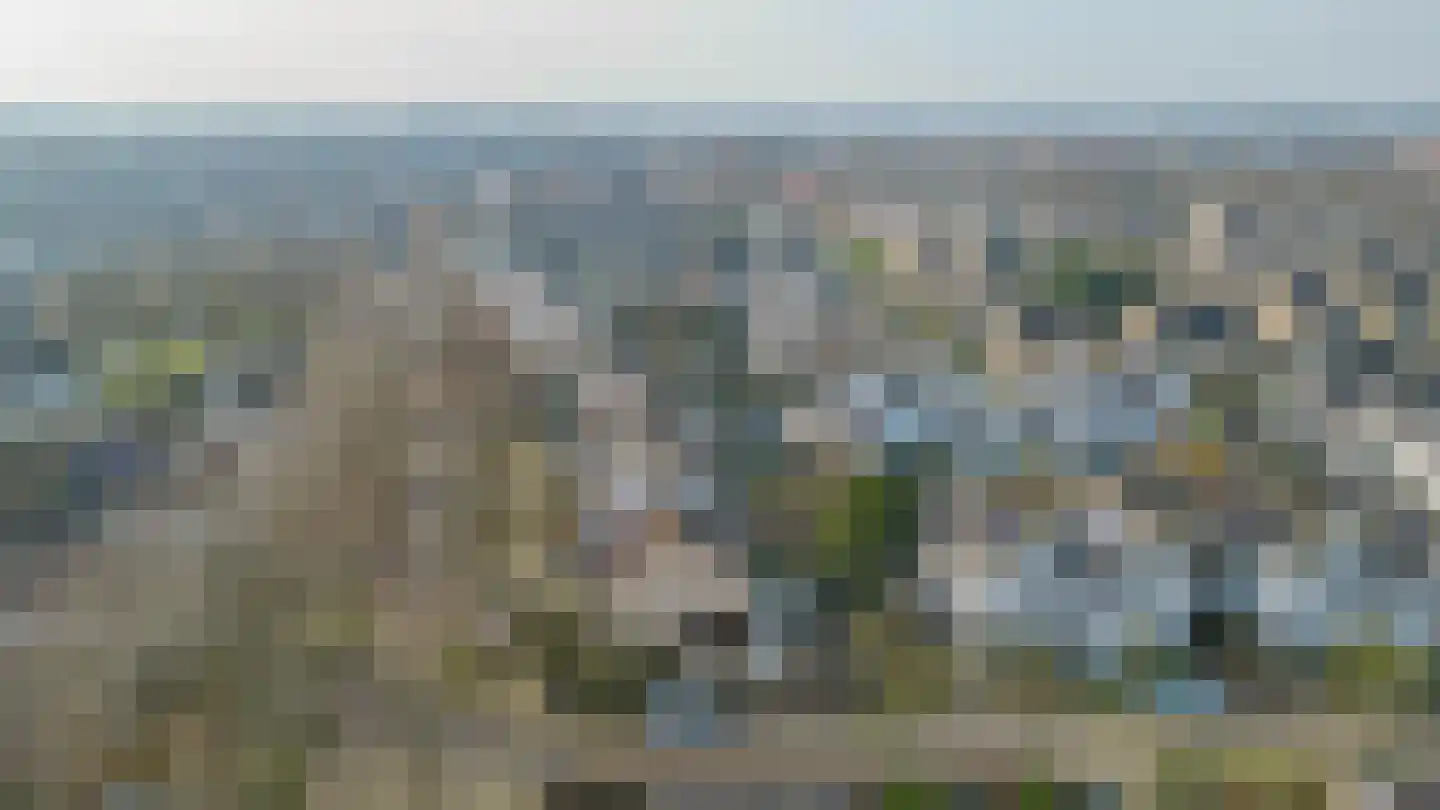 Tijmveld 66 Veghel thumbnail 46