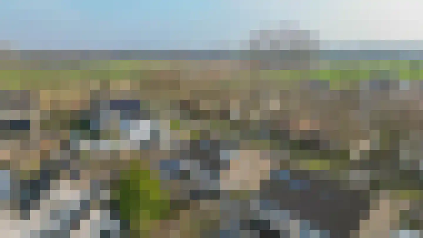 Tijmveld 66 Veghel thumbnail 5