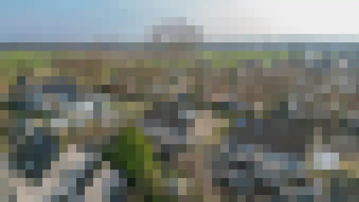 Tijmveld 66 Veghel thumbnail 50