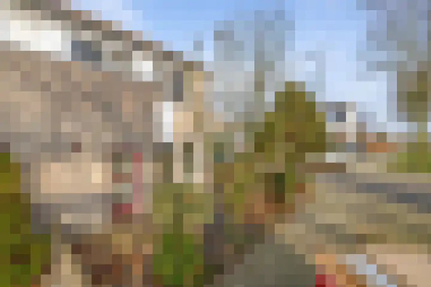 Tijmveld 66 Veghel thumbnail 6