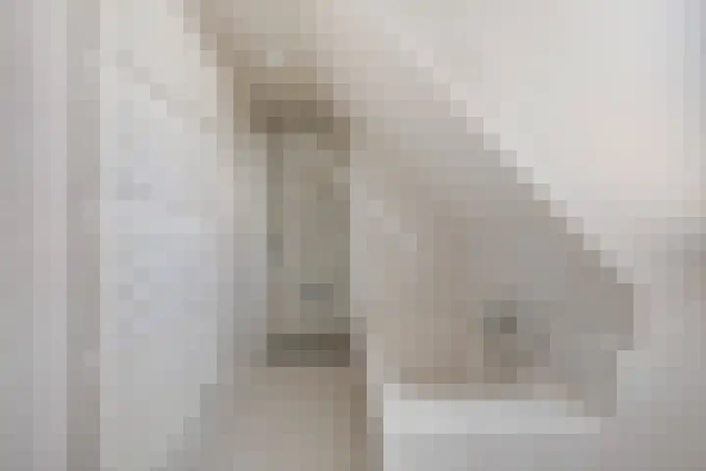 Tijmveld 96 Veghel thumbnail 34