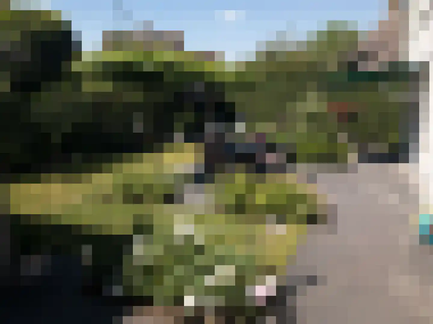 Tijmveld 96 Veghel thumbnail 41