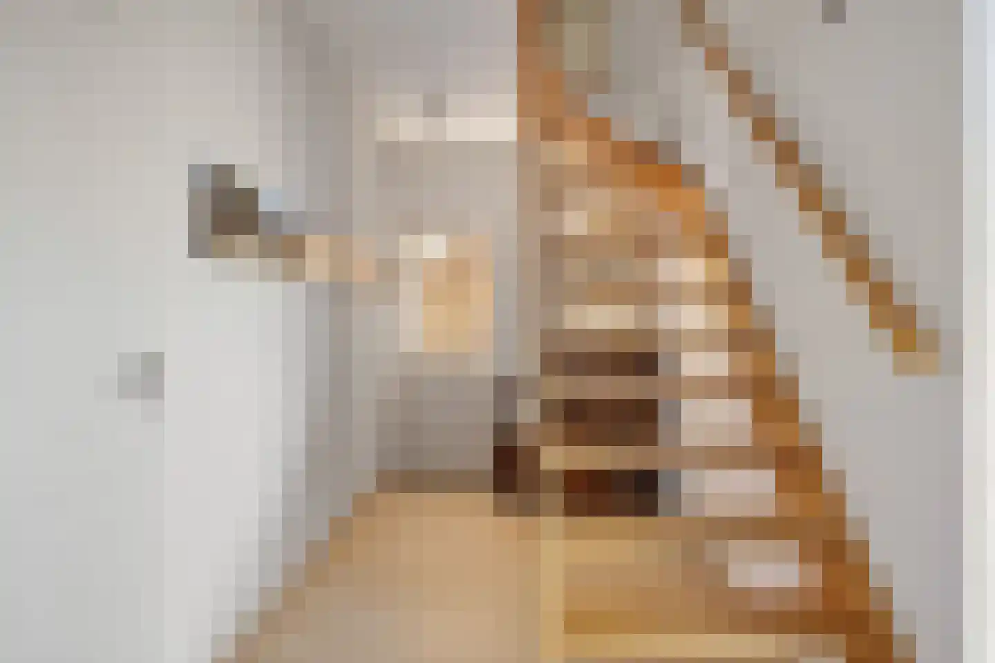 Tijmveld 96 Veghel thumbnail 5