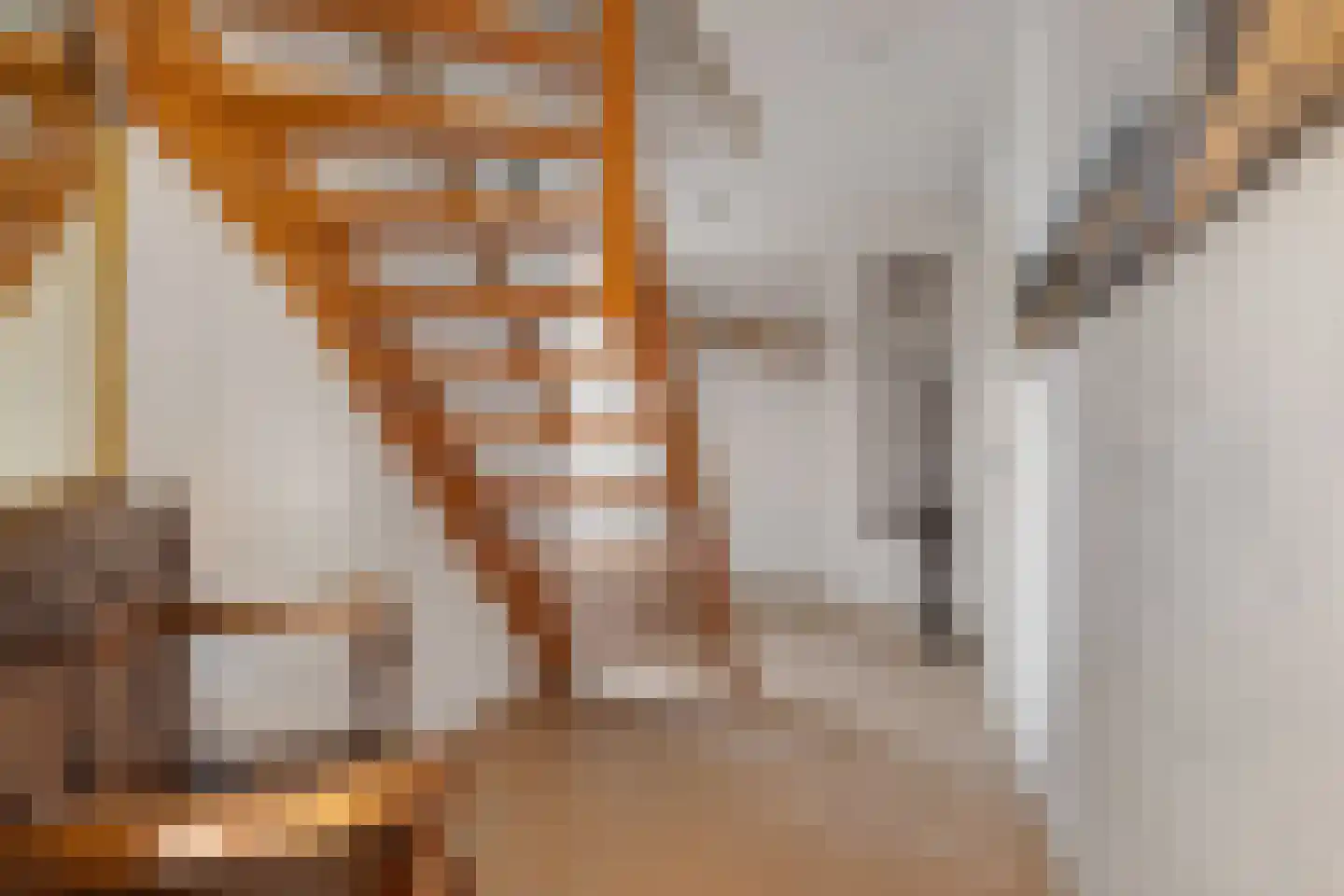 Tijmveld 96 Veghel thumbnail 6
