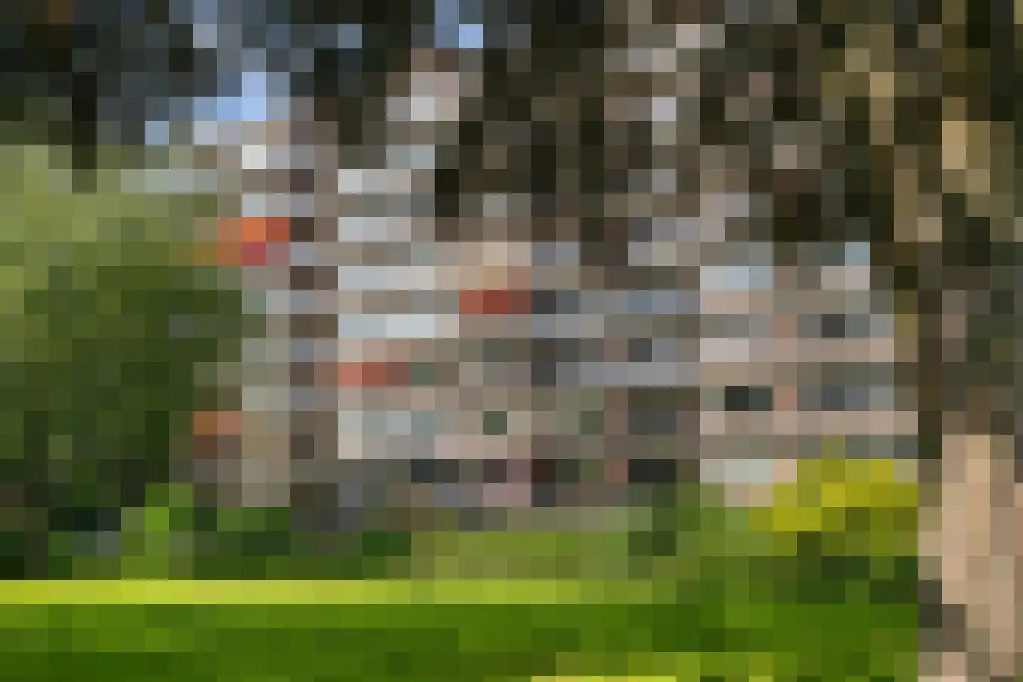 Tijmweg 280 Hoogvliet Rotterdam thumbnail 33