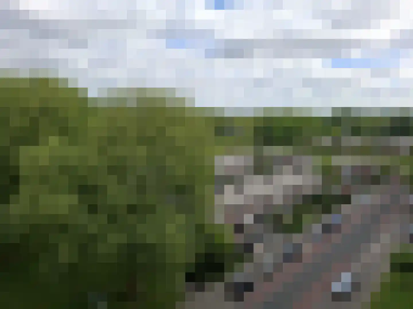 Tijmweg 306 Hoogvliet Rotterdam thumbnail 16