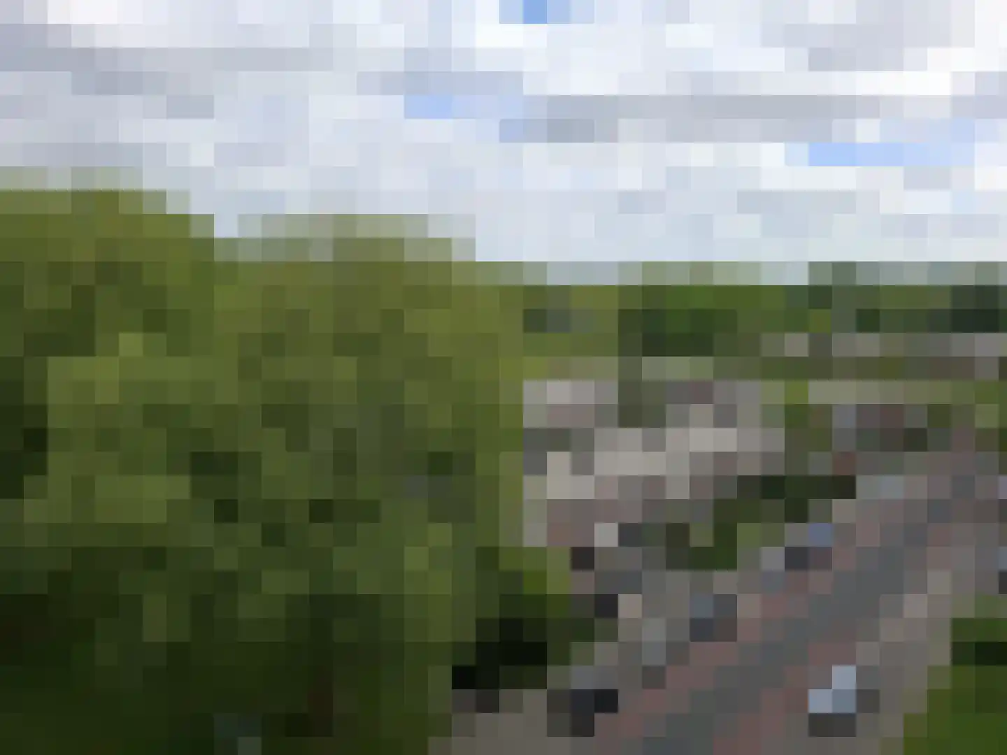 Tijmweg 306 Hoogvliet Rotterdam thumbnail 16