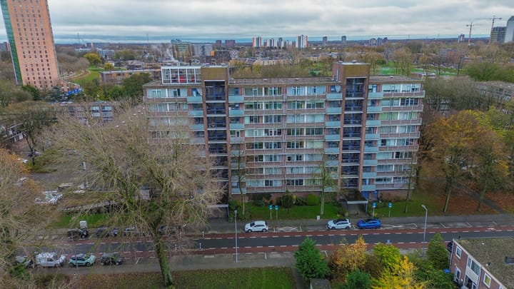 Tijmweg 64 in Hoogvliet Rotterdam Foto