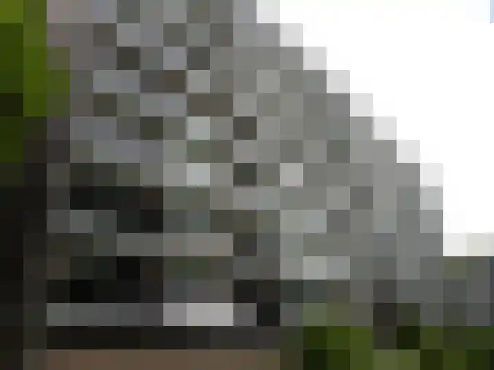 Tijmweg 68 in Hoogvliet Rotterdam