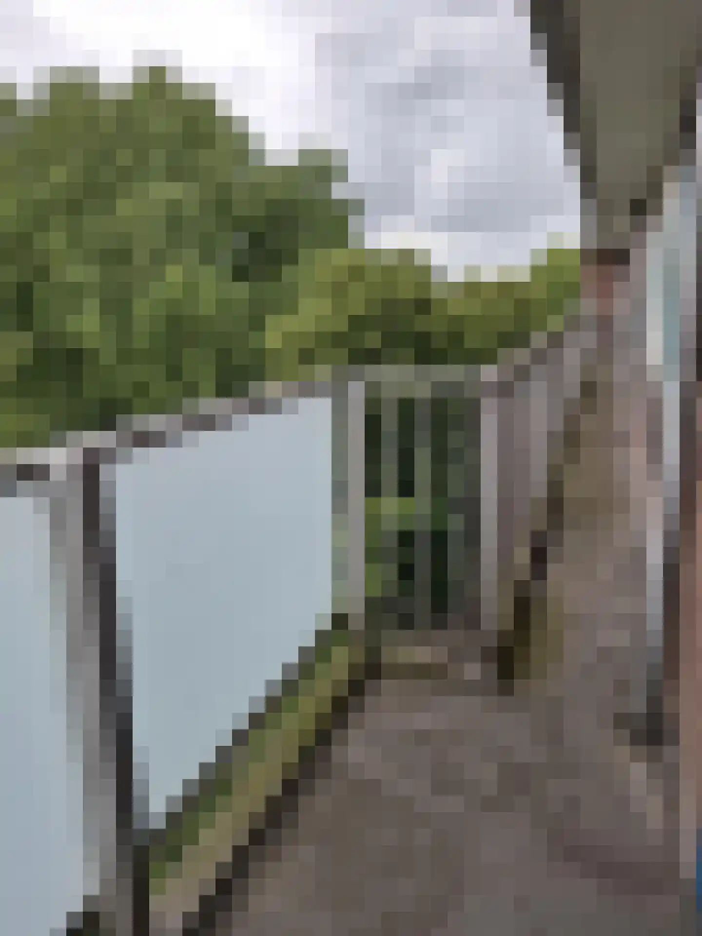 Tijmweg 94 Hoogvliet Rotterdam thumbnail 13