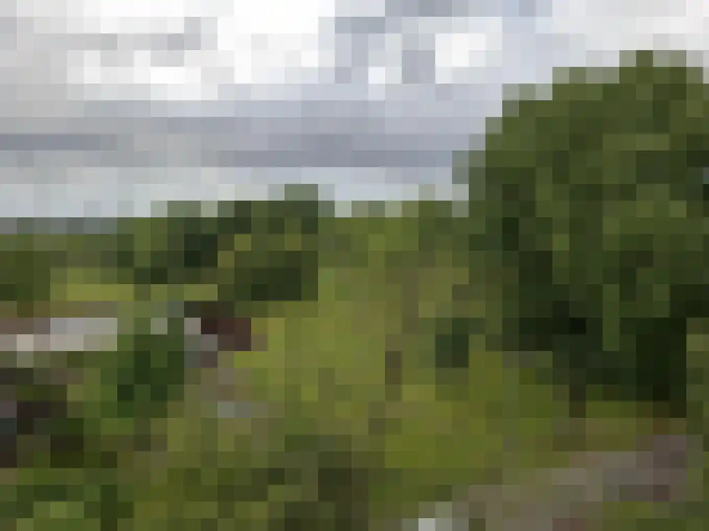 Tijmweg 94 Hoogvliet Rotterdam thumbnail 14