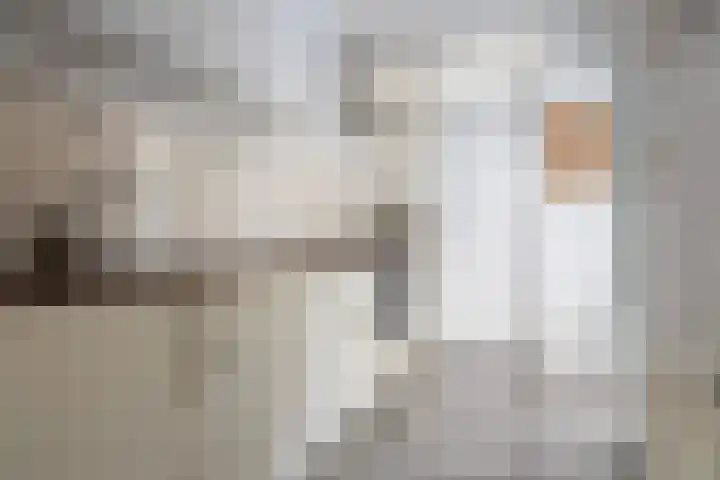 Tijnjedijk 106 Leeuwarden thumbnail 17