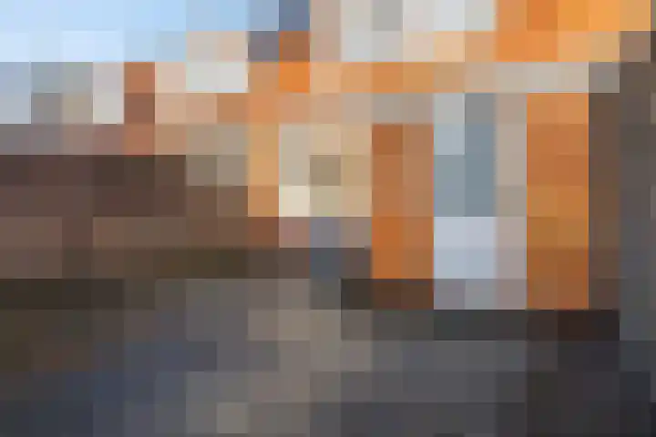 Tijnjedijk 106 Leeuwarden thumbnail 20