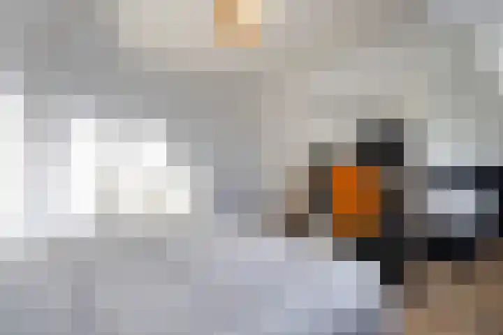 Tijnjedijk 106 Leeuwarden thumbnail 29