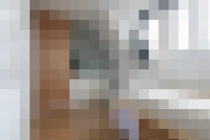 Tijnjedijk 106 Leeuwarden thumbnail 31