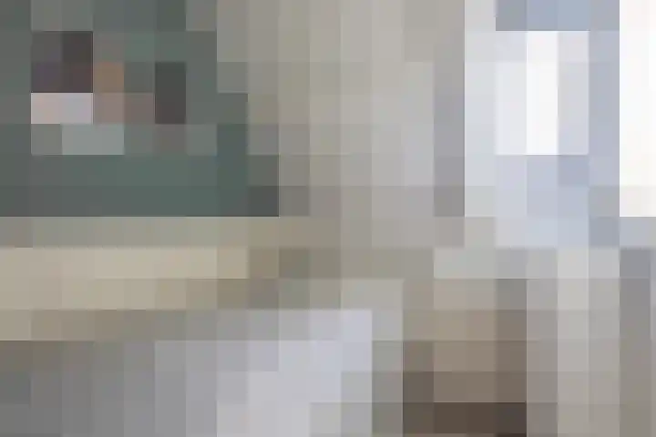 Tijnjedijk 106 Leeuwarden thumbnail 32