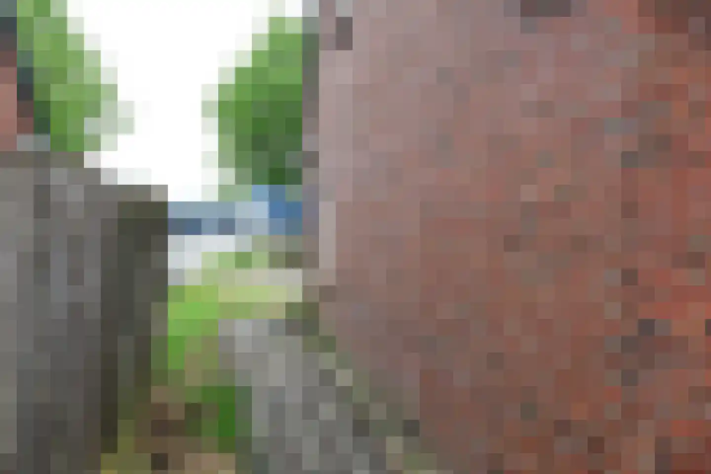 Tijnjedijk 140 Leeuwarden thumbnail 33