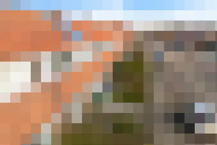 Tijnjedijk 31 Leeuwarden thumbnail 37