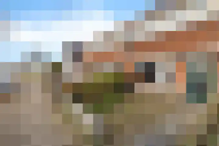 Tijnjedijk 31 Leeuwarden thumbnail 7