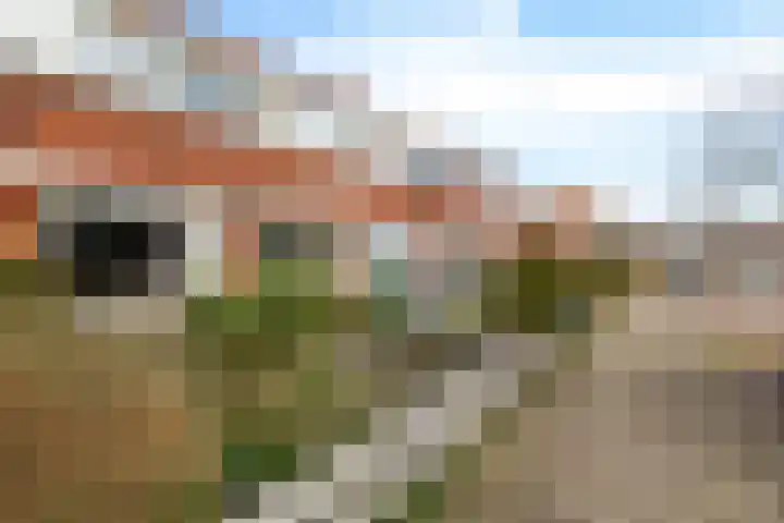 Tijnjedijk 31 Leeuwarden thumbnail 8