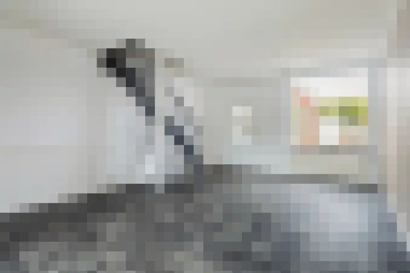Tijnjedijk 41 Leeuwarden thumbnail 13