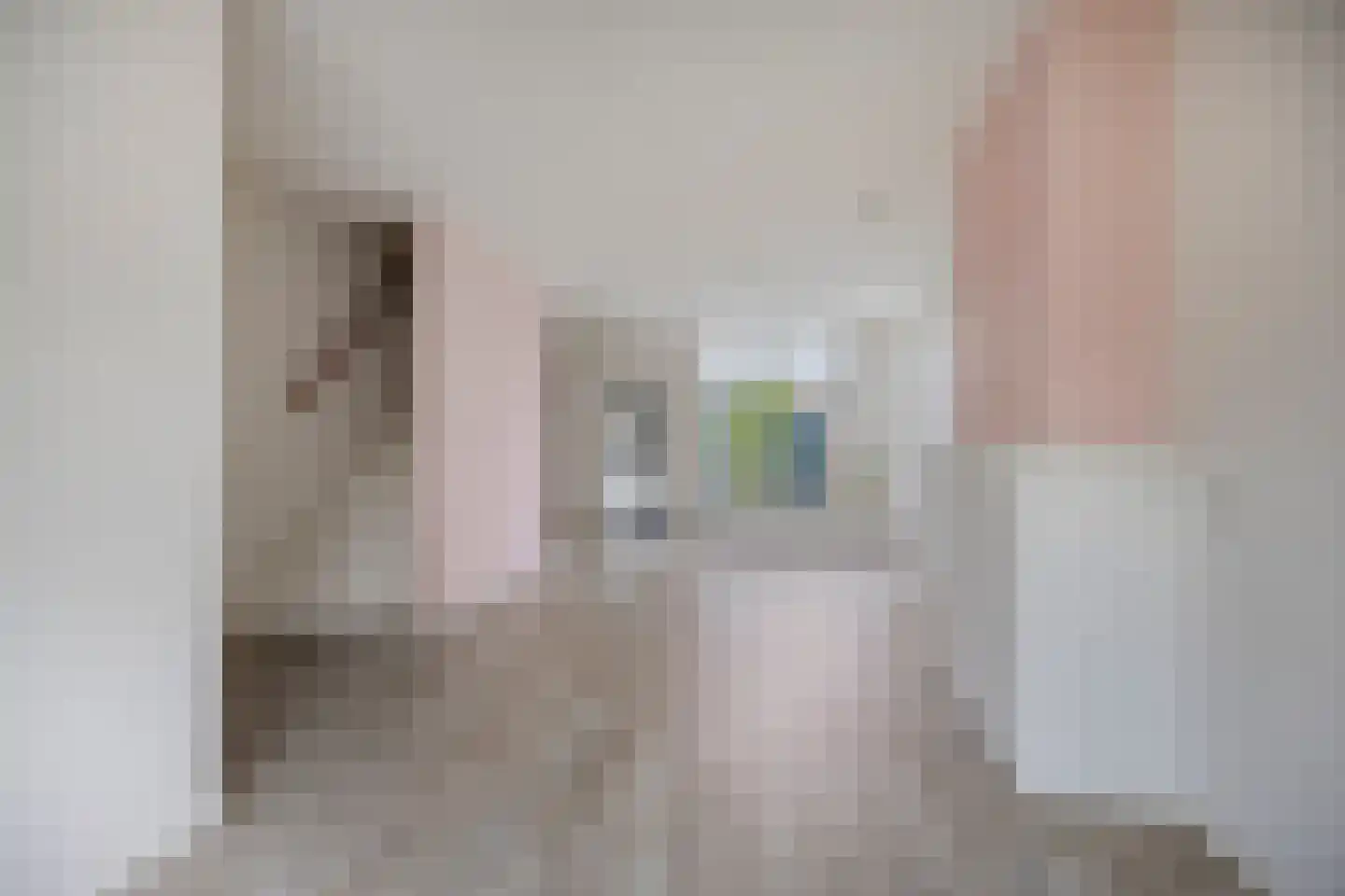 Tijnjedijk 45 Leeuwarden thumbnail 4