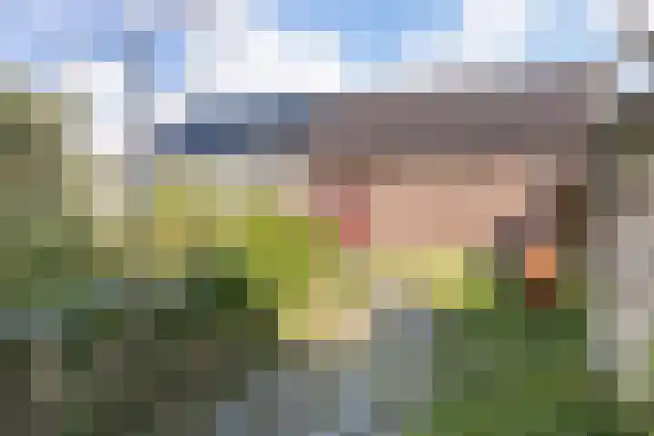 Tijnjedijk 49 Leeuwarden thumbnail 16