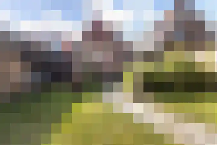 Tijnjedijk 49 Leeuwarden thumbnail 18