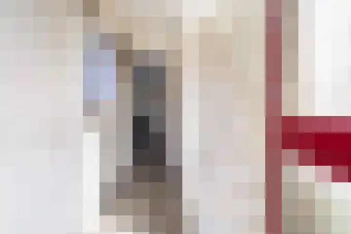 Tijnjedijk 49 Leeuwarden thumbnail 4