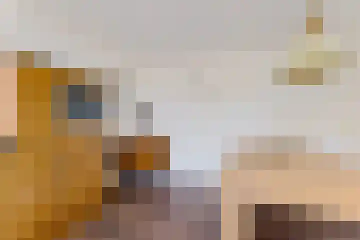 Tijnjedijk 72 Leeuwarden thumbnail 19