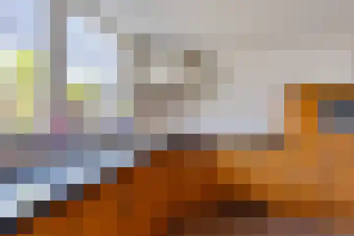 Tijnjedijk 72 Leeuwarden thumbnail 21