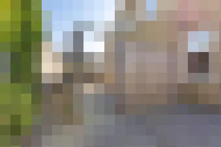 Tijnjedijk 72 Leeuwarden thumbnail 36