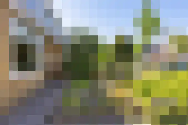 Tijnjedijk 72 Leeuwarden thumbnail 6