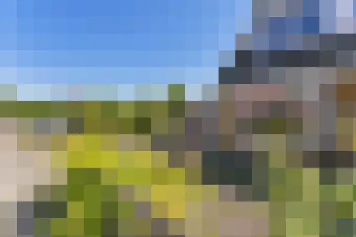 Tijnjedijk 72 Leeuwarden thumbnail 8