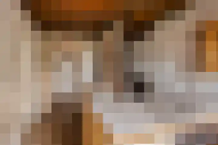 Tijnjeweg 11 Gersloot thumbnail 14