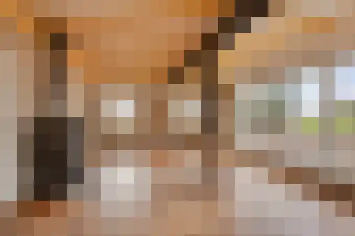 Tijnjeweg 11 Gersloot thumbnail 15