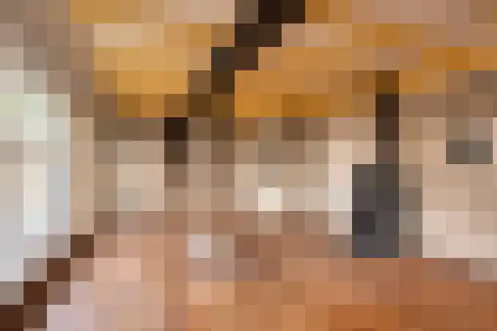 Tijnjeweg 11 Gersloot thumbnail 16