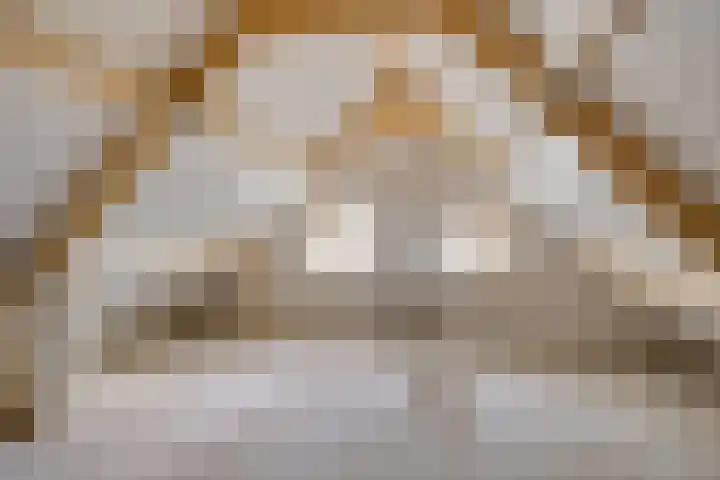 Tijnjeweg 11 Gersloot thumbnail 22