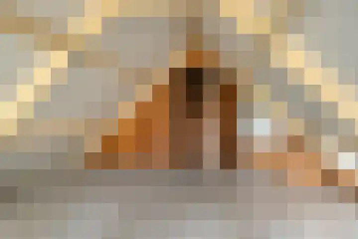 Tijnjeweg 11 Gersloot thumbnail 23