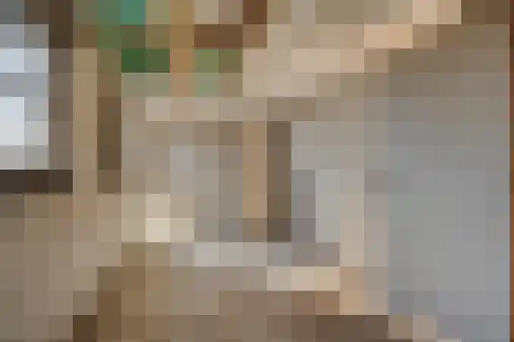 Tijnjeweg 11 Gersloot thumbnail 29