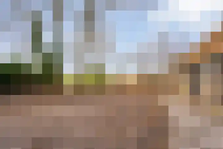 Tijnjeweg 11 Gersloot foto 3