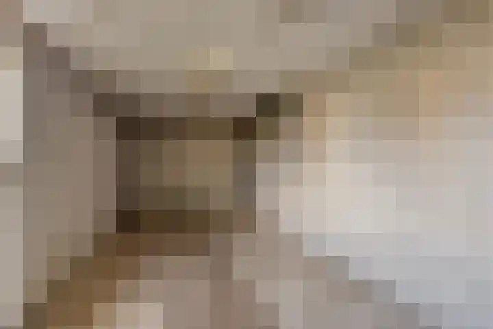 Tijnjeweg 11 Gersloot thumbnail 31