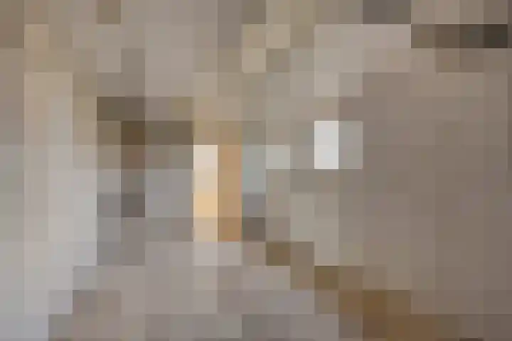 Tijnjeweg 11 Gersloot thumbnail 32
