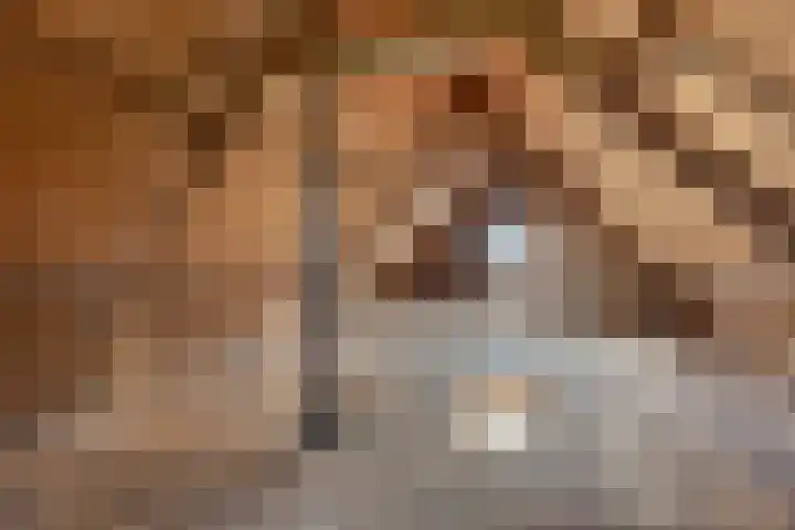 Tijnjeweg 11 Gersloot thumbnail 33