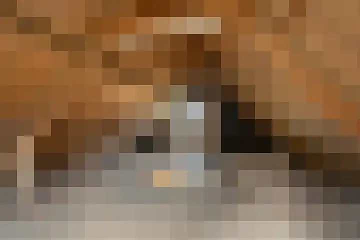 Tijnjeweg 11 Gersloot thumbnail 34