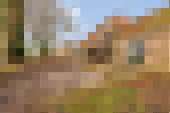 Tijnjeweg 11 Gersloot thumbnail 35