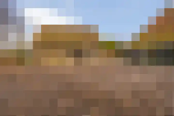 Tijnjeweg 11 Gersloot thumbnail 36