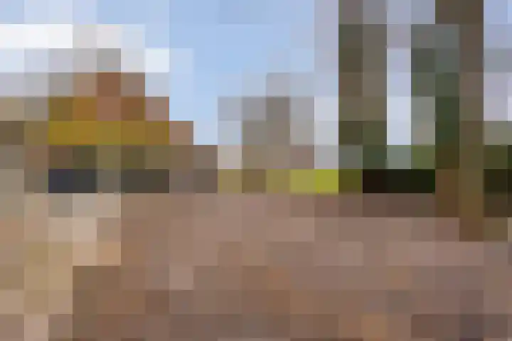Tijnjeweg 11 Gersloot thumbnail 37