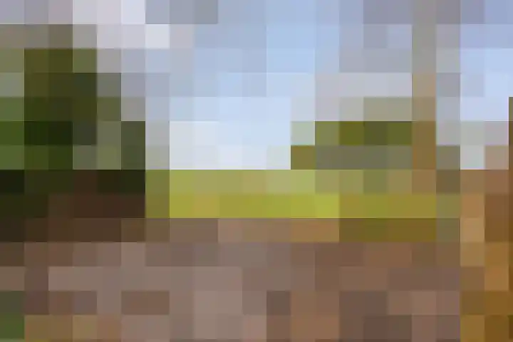 Tijnjeweg 11 Gersloot thumbnail 38